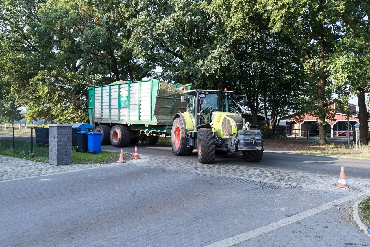 Bild 126 - Maisernte